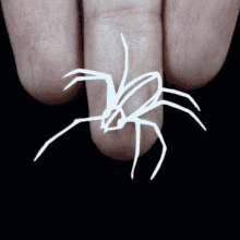 Spider Animated GIF - Spider Animated Animation GIFs