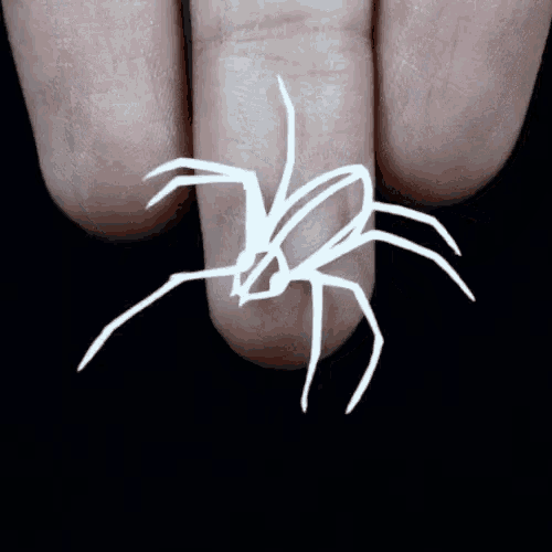 Animated Spider Pictures GIFs | Tenor