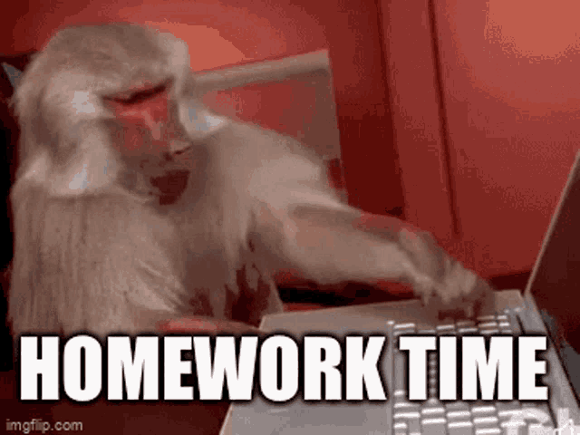 homework time gif