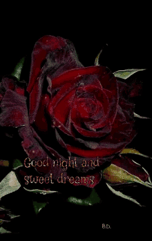 Laku Noc Good Night And Sweet Dreams GIF - Laku Noc Good Night And Sweet Dreams Rose GIFs