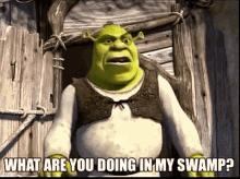 Shrek What Are You Doing In My Swamp GIF - Shrek What Are You Doing In My Swamp Swamp GIFs