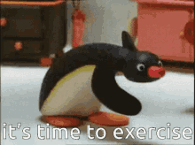 Its Time To Exercise Excercise GIF - Its Time To Exercise Excercise Pingu GIFs