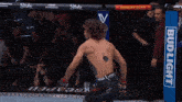 a fighter in a cage with espn written on it