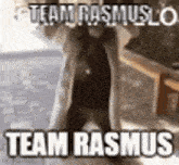 Team Rasmus Monkey GIF - Team Rasmus Monkey Monke GIFs