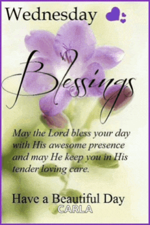 wednesday blessings may the lord bless your day with his awesome presence and may he keep you in his tender loving care have a beautiful day