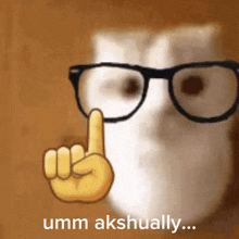 a cat wearing glasses and a yellow finger pointing up with the words umm akshually below it