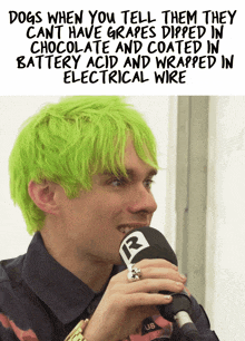 a man with green hair is talking into a microphone and the caption says dogs when you tell them