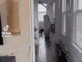 a tiktok video of a hallway with a dog walking down it