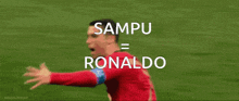 a soccer player with sampu ronaldo written on the back of his jersey
