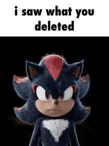 a picture of shadow the hedgehog with the words i saw what you deleted