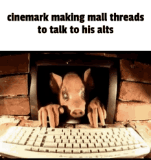 Cinemark Typing GIF - Cinemark Typing Pig GIFs