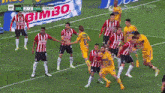 Tigres Tigres Uanl GIF - Tigres Tigres Uanl Tigres Campeon GIFs