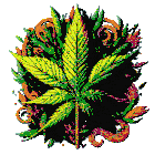 a marijuana leaf is surrounded by other leaves and flowers