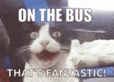 Cat Bus Cat That'S Fantastic GIF - Cat Bus Cat That'S Fantastic Eevoy101 GIFs