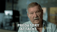 predatory attacks when sharks attack nat geo predators dangerous