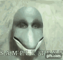 Gaming Dolphin GIF - Gaming Dolphin Sample Text GIFs