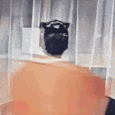 a person is standing in front of a window with a camera on their head behind a curtain .