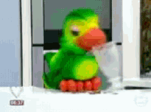 Parrot Inferno GIF