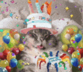 a cat is wearing a birthday hat and eating a birthday cake surrounded by balloons and confetti .