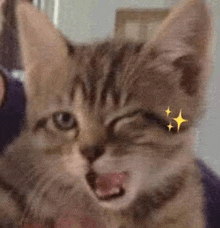 a close up of a cat making a funny face with two stars coming out of its eyes .