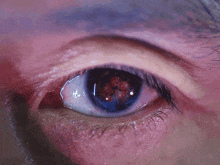 a close up of a person 's eye with a flower reflection