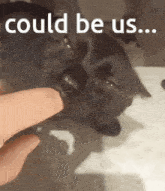 Could Be Us Cat GIF