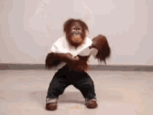 Orangutan Monkey GIF - Orangutan Monkey Shirt GIFs