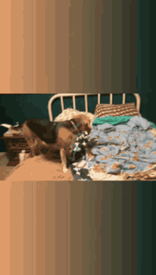Scarlett The Beagle Dog GIF - Scarlett The Beagle Dog Sleeping GIFs