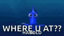 Dory Are You There GIF