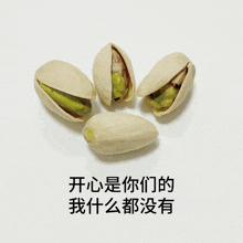 four pistachios on a white surface with chinese writing on it