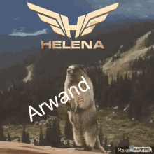 Arwand Helena GIF - Arwand Helena Helena Arwand GIFs