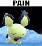 a picture of a cartoon character with the word pain written above it