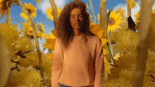 a woman in a pink sweater stands in a field of sunflowers with her eyes closed