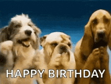 three dogs are standing next to each other with the words `` happy birthday '' written above them .