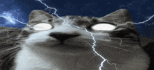 You Should Pet Yourself Meow Lightning GIF - You Should Pet Yourself Meow Pet Lightning GIFs