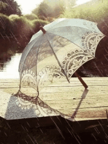 animated umbrella