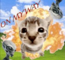 a picture of a cat with the words " on my way " on it