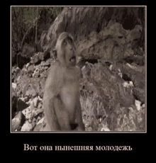 a monkey is sitting on top of a pile of rocks and making a funny face .