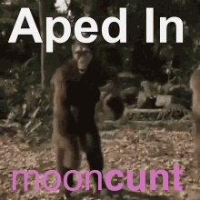 aped in crypto meme ape meme mooncunt crypto memes