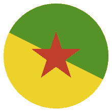 flags guinean