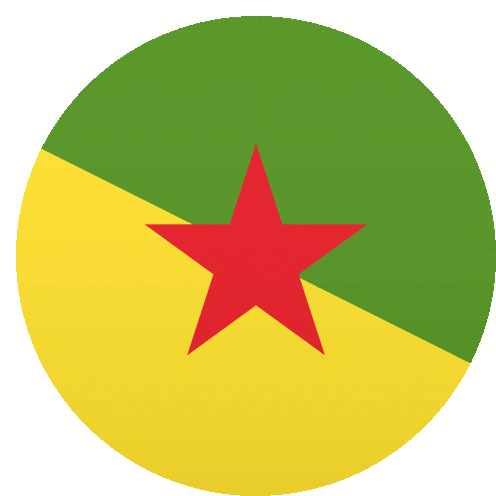 French Guiana Flags Sticker - French Guiana Flags Joypixels Stickers