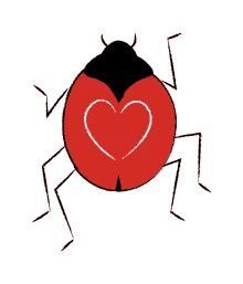 downsign love bug insect love red