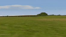 a lush green field with a tree in the distance and a blue sky