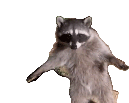 Freeze Dont Move Sticker - Freeze Dont Move Raccoon Stickers