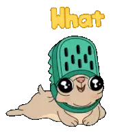 a pug wearing a green hat with the word what written on it