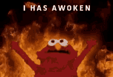 Awake Woke GIF - Awake Woke Elmo GIFs