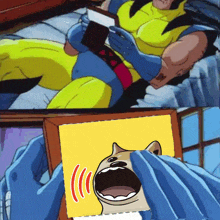 a cartoon of wolverine reading a book and a picture of a cat