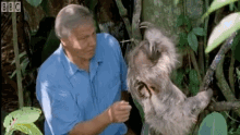 Nothing But Leaves GIF - Attenborough GIFs