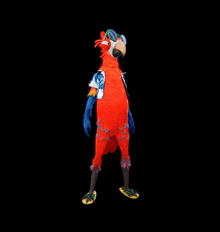 the back of a parrot wearing a blue and red shirt
