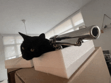 Cat Gun Box GIF